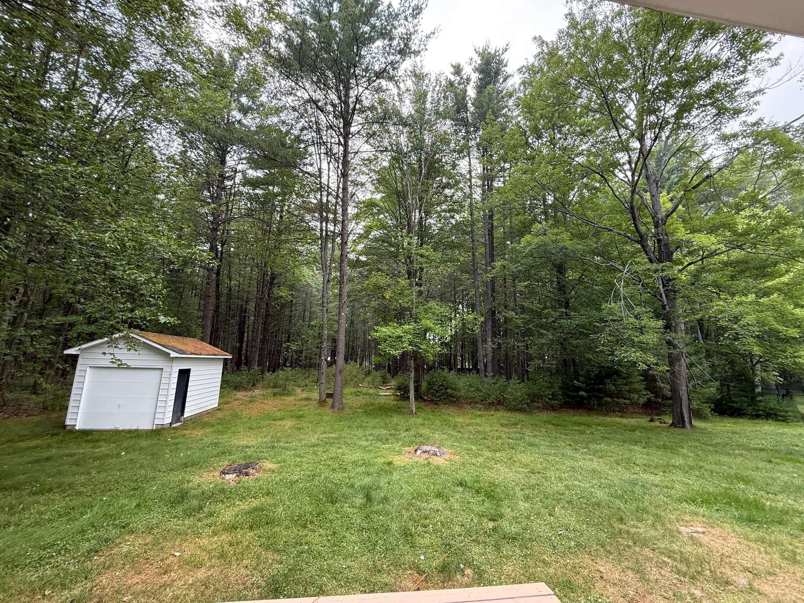 Backyard lawn edged by tall pines, with a detached garage